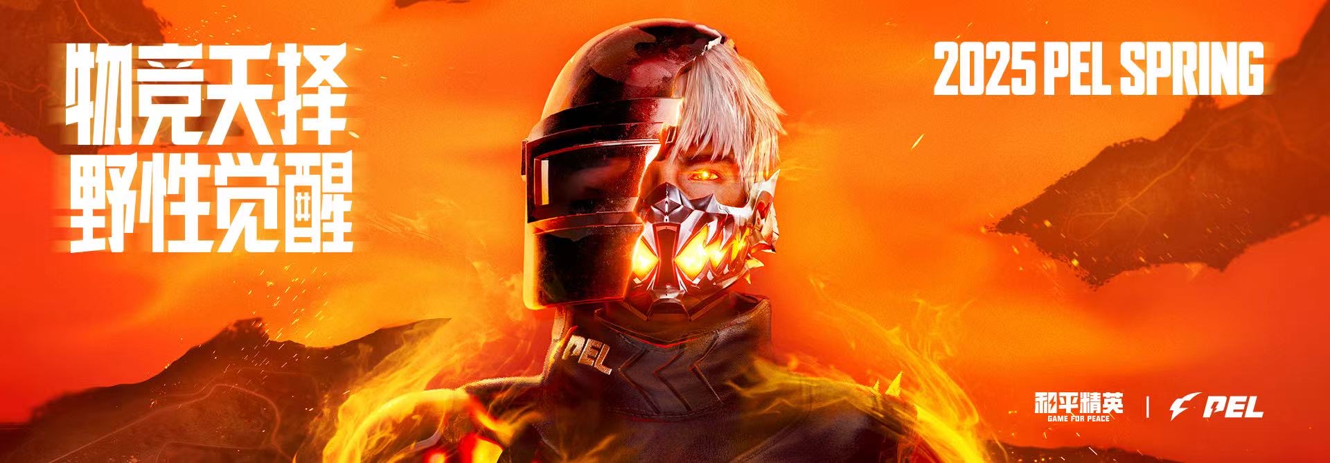 和平精英辅助【火焰鸟一体直装】人物透视 无后坐力 开枪自瞄 开车飞天 飞天跳伞 皮肤美化 物资显示 队伍信息